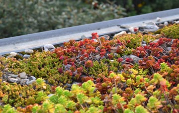 the cost of Beverley green roof installation