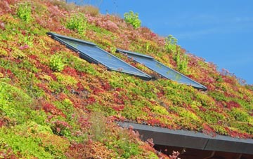 Beverley living roof systems